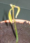 IMG_0627.JPG
