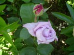 DSC01918.JPG