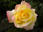 DSCN0897.JPG