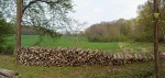 coupe-bois-de-Prin-web.jpg