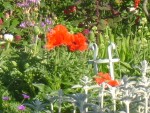 DSC01941.JPG