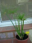 DSCN3998.JPG