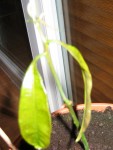IMG_0629.JPG
