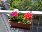 18052010043.jpg