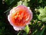 DSC01943.JPG
