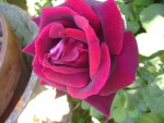 DSC01947.JPG