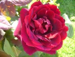 DSC01948.JPG
