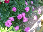 DSC01945.JPG