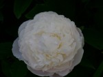 DSC01957.JPG