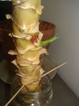 DSC02133.JPG