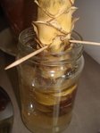 DSC02135.JPG
