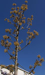 100_9355.jpg