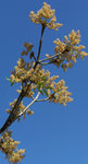 100_9356.jpg
