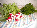 DSCN0957.JPG