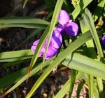 DSCN9785.JPG