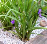 DSCN9787.JPG