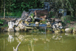 Photo-070.gif