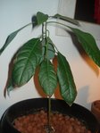 DSC02139.JPG