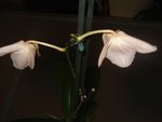DSC02140.JPG