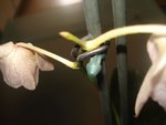 DSC02142.JPG