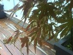 DSC00615.JPG