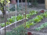 DSCN0962.JPG