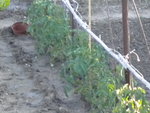 DSCN0963.JPG