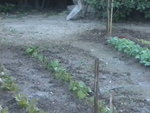 DSCN0964.JPG