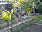 DSCN0965.JPG