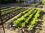 DSCN1007.JPG