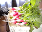DSCN1008.JPG