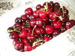 DSCN1002.JPG