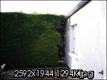 photo012ejz.th.jpg