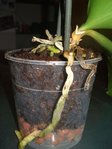 DSC02144.JPG