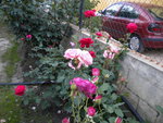DSCN0967.JPG