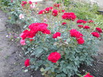 DSCN0974.JPG