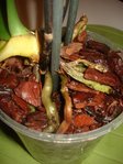 DSC02180.JPG