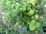 27052010832.jpg