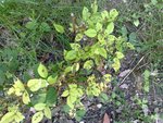 27052010833.jpg