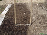 travail à la bio béche