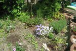 Un bout de mon mini potager. Herbes aromatiques, poireaux (4!), radis, oignons (qui ne poussent pas), tomates, poivrons.