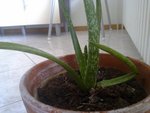 30052010248.jpg