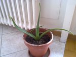 30052010249.jpg