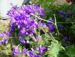 30.05.2010.jpg