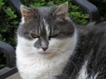 Dame GinetteB-15 avril 9 053.jpg