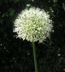 PICT0074.JPG