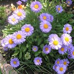 PICT0075.JPG