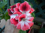 DSCN1020.JPG
