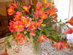 DSCN1054.JPG