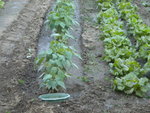 DSCN1049.JPG